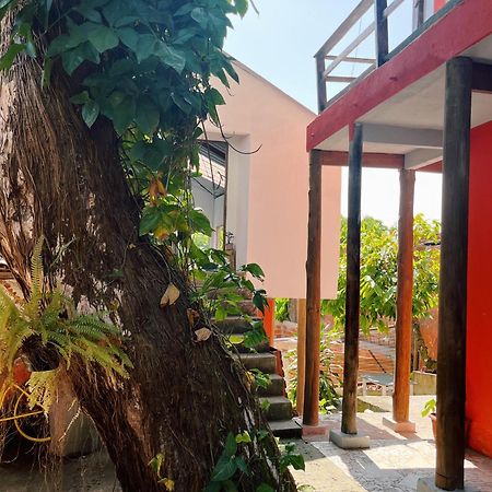 Morada Cacauera Apartment Itacare Bagian luar foto