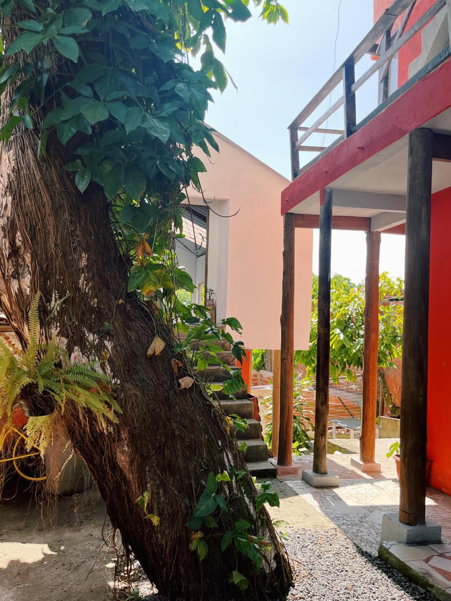 Morada Cacauera Apartment Itacare Bagian luar foto